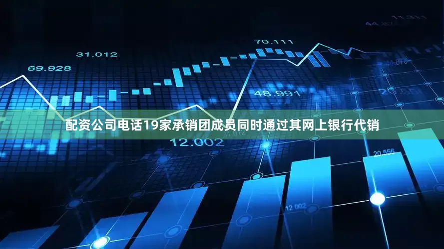 配资公司电话19家承销团成员同时通过其网上银行代销