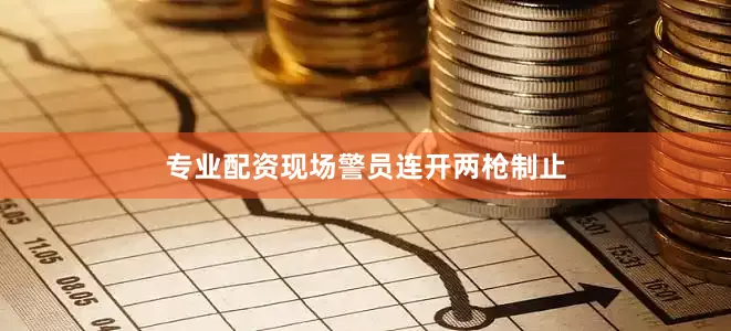 专业配资现场警员连开两枪制止